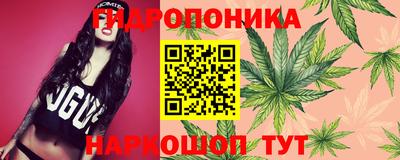 прущие грибы Лесосибирск