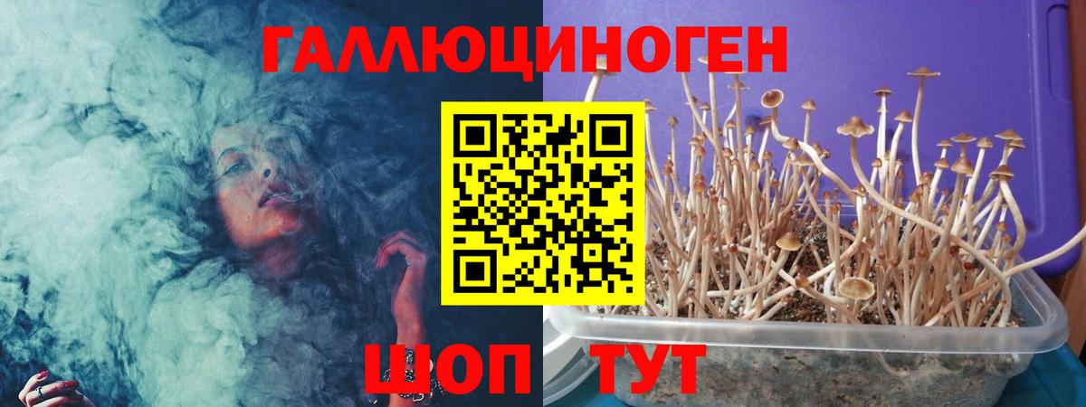 Галлюциногенные грибы мухоморы  Вход с VPN  Зеленодольск 